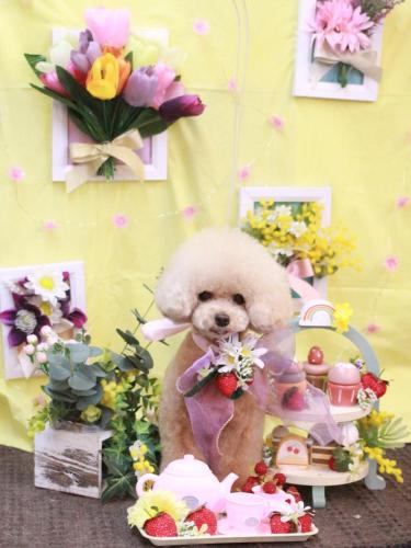 20230317ティナくん